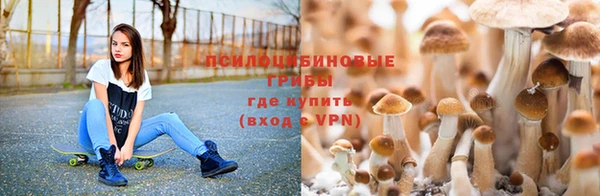 бутират Мегион