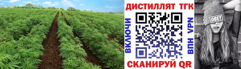 ТГК THC oil  omg зеркало  Фурманов 