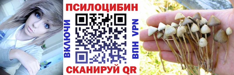 Галлюциногенные грибы Psilocybe  Фурманов 
